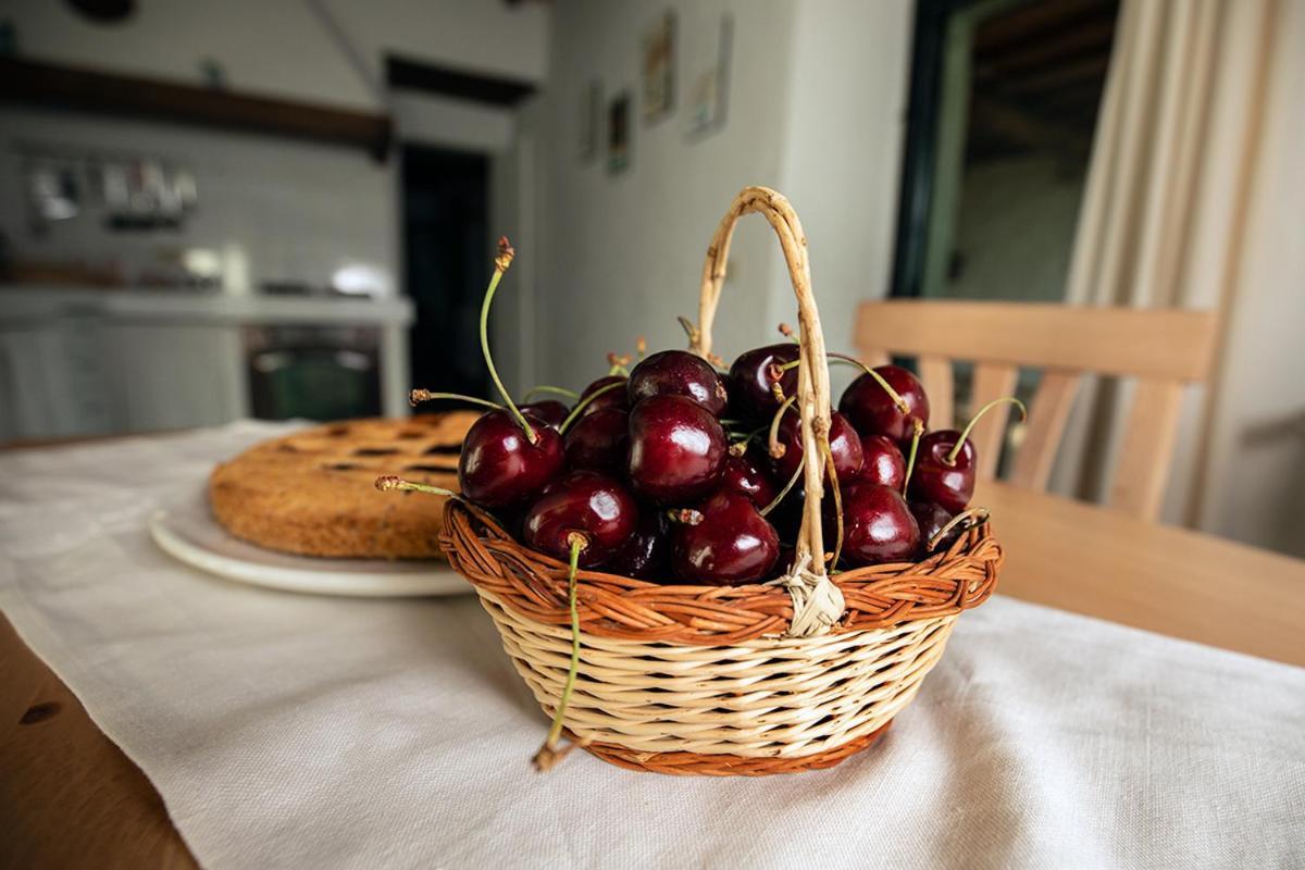 Appartement Piancasalemia à Londa Extérieur photo