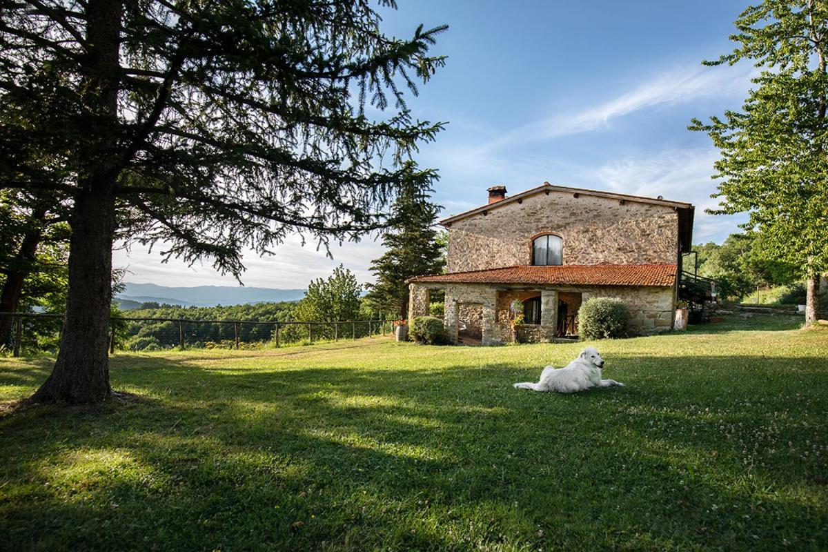 Appartement Piancasalemia à Londa Extérieur photo